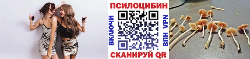 Псилоцибиновые грибы GOLDEN TEACHER  закладка  blacksprut онион  Давлеканово 