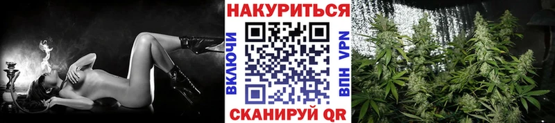 hydra вход  Давлеканово  Бошки Шишки тримм  купить наркотики сайты 